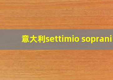 意大利settimio soprani